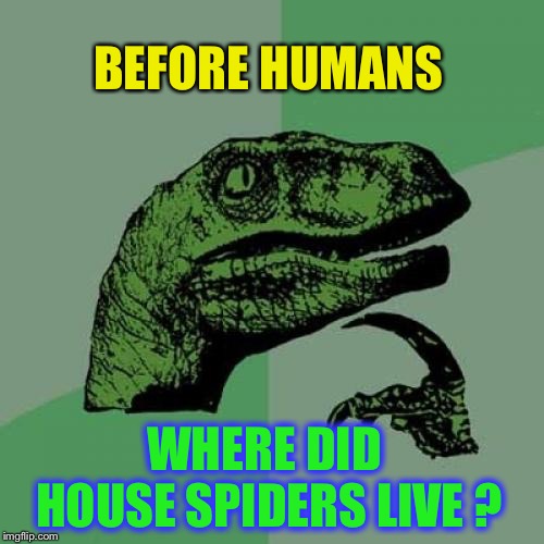 NO 8-ers ! | BEFORE HUMANS; WHERE DID HOUSE SPIDERS LIVE ? | image tagged in memes,philosoraptor,spider,house | made w/ Imgflip meme maker