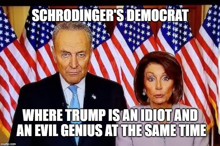 Out-Fox the Box, Baby | SCHRODINGER'S DEMOCRAT; WHERE TRUMP IS AN IDIOT AND AN EVIL GENIUS AT THE SAME TIME | image tagged in chuck and nancy,trump,tds,democrats,election 2020 | made w/ Imgflip meme maker