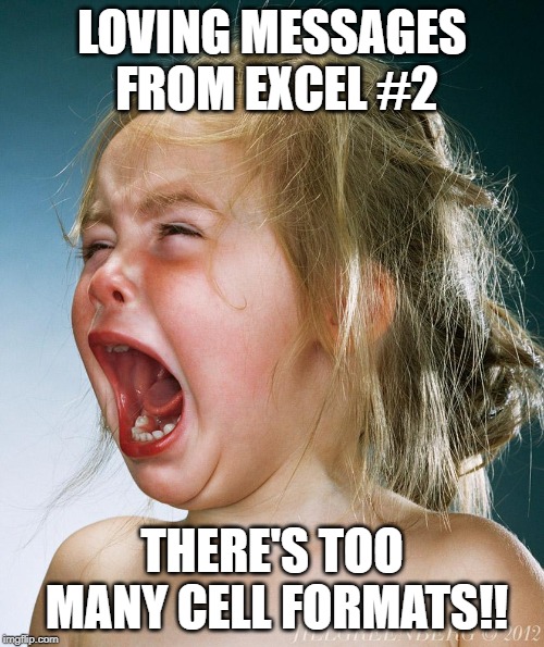 baby crying | LOVING MESSAGES FROM EXCEL #2; THERE'S TOO MANY CELL FORMATS!! | image tagged in baby crying | made w/ Imgflip meme maker