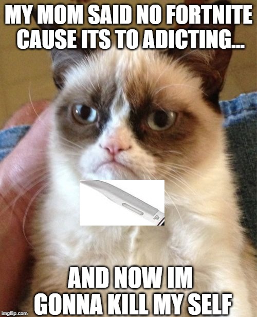Grumpy Cat Meme | MY MOM SAID NO FORTNITE CAUSE ITS TO ADICTING... AND NOW IM GONNA KILL MY SELF | image tagged in memes,grumpy cat | made w/ Imgflip meme maker