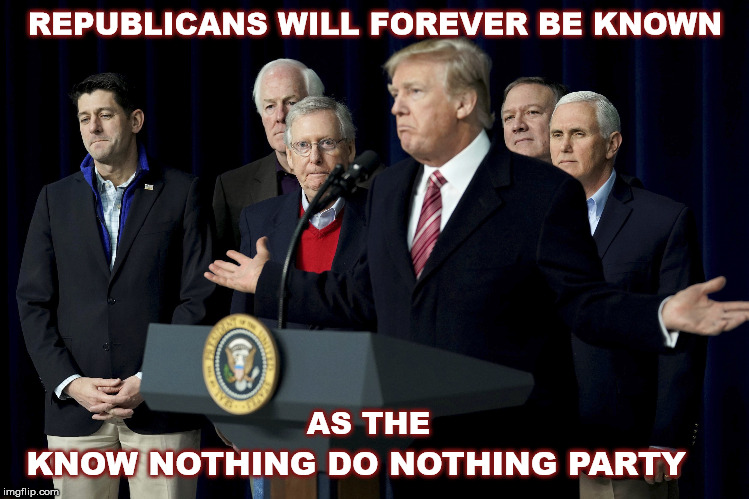 Today's GOP | REPUBLICANS WILL FOREVER BE KNOWN; KNOW NOTHING DO NOTHING PARTY; AS THE | image tagged in donald trump,gop,republican,do nothing party,mega nothing | made w/ Imgflip meme maker