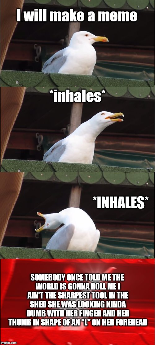 Inhaling Seagull Meme | I will make a meme; *inhales*; *INHALES*; SOMEBODY ONCE TOLD ME
THE WORLD IS GONNA ROLL ME
I AIN'T THE SHARPEST TOOL IN THE SHED
SHE WAS LOOKING KINDA DUMB
WITH HER FINGER AND HER THUMB
IN SHAPE OF AN "L" ON HER FOREHEAD | image tagged in memes,inhaling seagull | made w/ Imgflip meme maker