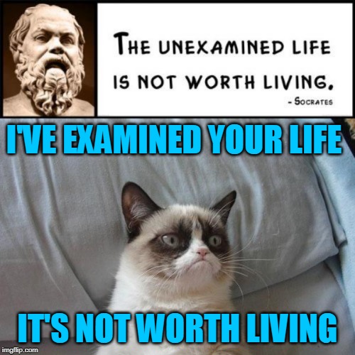 Grumposophy. | I'VE EXAMINED YOUR LIFE; IT'S NOT WORTH LIVING | image tagged in memes,socrates,grumpy cat,life,famous quotes,grumpy cat logic | made w/ Imgflip meme maker