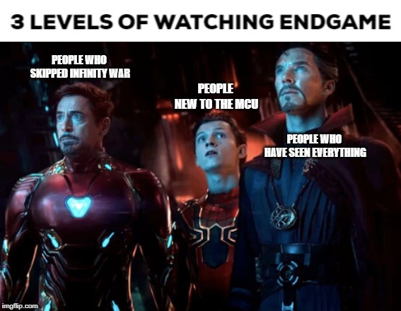 3 Levels of Watching Endgame | PEOPLE WHO SKIPPED INFINITY WAR; PEOPLE NEW TO THE MCU; PEOPLE WHO HAVE SEEN EVERYTHING | image tagged in memes,avengers infinity war | made w/ Imgflip meme maker
