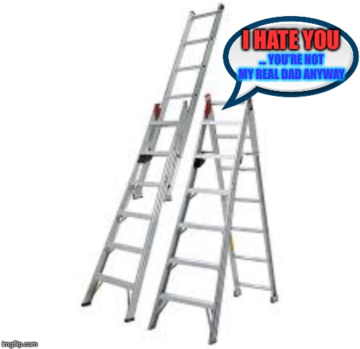 When he remarried she was the stairway to heaven... but her son. :-( | I HATE YOU; ... YOU’RE NOT MY REAL DAD ANYWAY | image tagged in ladders,stepladder,step child,family life | made w/ Imgflip meme maker