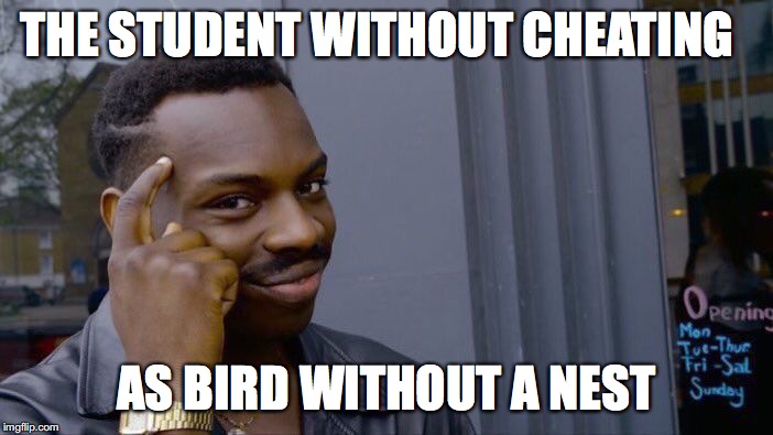 Roll Safe Think About It Meme | THE STUDENT WITHOUT CHEATING; AS BIRD WITHOUT A NEST | image tagged in memes,roll safe think about it | made w/ Imgflip meme maker