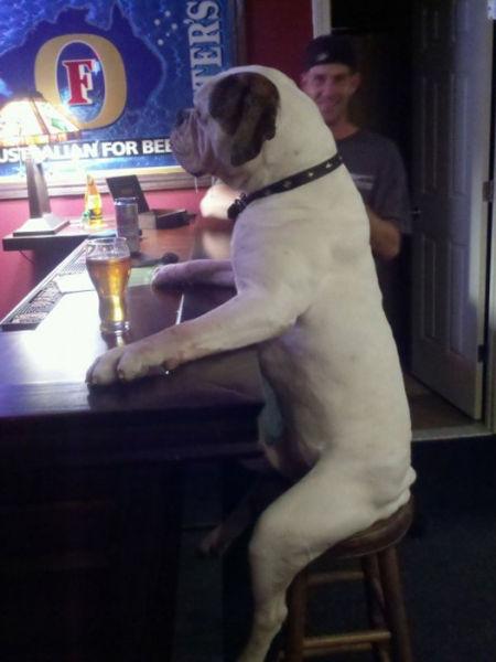 image tagged in funny