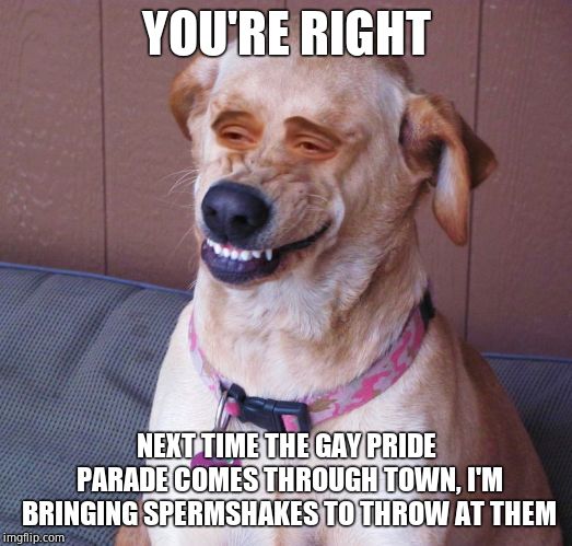 Dog smile | YOU'RE RIGHT NEXT TIME THE GAY PRIDE PARADE COMES THROUGH TOWN, I'M BRINGING SPERMSHAKES TO THROW AT THEM | image tagged in dog smile | made w/ Imgflip meme maker