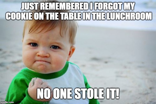 yay true story do | JUST REMEMBERED I FORGOT MY COOKIE ON THE TABLE IN THE LUNCHROOM; NO ONE STOLE IT! | image tagged in memes,success kid original,yay | made w/ Imgflip meme maker