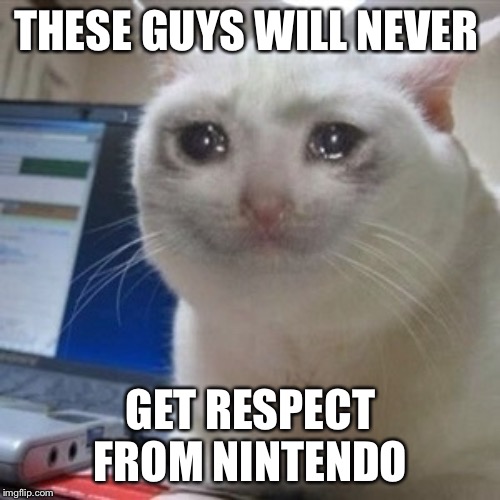 Crying cat | THESE GUYS WILL NEVER GET RESPECT FROM NINTENDO | image tagged in crying cat | made w/ Imgflip meme maker