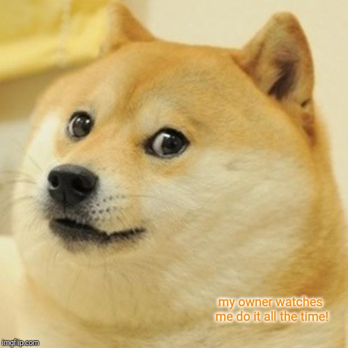my owner watches me do it all the time! | image tagged in memes,doge | made w/ Imgflip meme maker