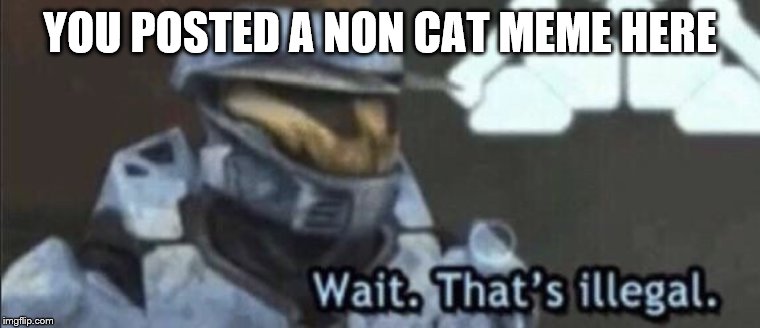 Wait that’s illegal | YOU POSTED A NON CAT MEME HERE | image tagged in wait thats illegal | made w/ Imgflip meme maker