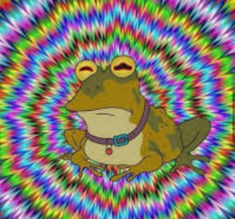 trippy frog Blank Meme Template