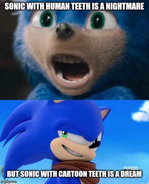 SONIC WITH HUMAN TEETH IS A NIGHTMARE BUT SONIC WITH CARTOON TEETH IS A DREAM | image tagged in sonic meme,sonic nightmare | made w/ Imgflip meme maker