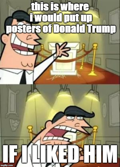 This Is Where I'd Put My Trophy If I Had One Meme | this is where i would put up posters of Donald Trump; IF I LIKED HIM | image tagged in memes,this is where i'd put my trophy if i had one | made w/ Imgflip meme maker