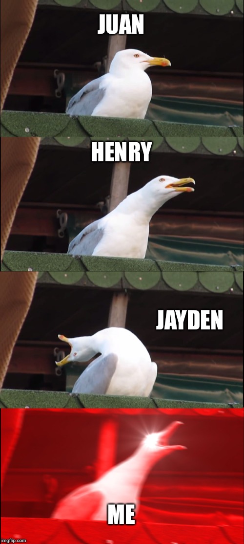 Inhaling Seagull Meme | JUAN; HENRY; JAYDEN; ME | image tagged in memes,inhaling seagull | made w/ Imgflip meme maker