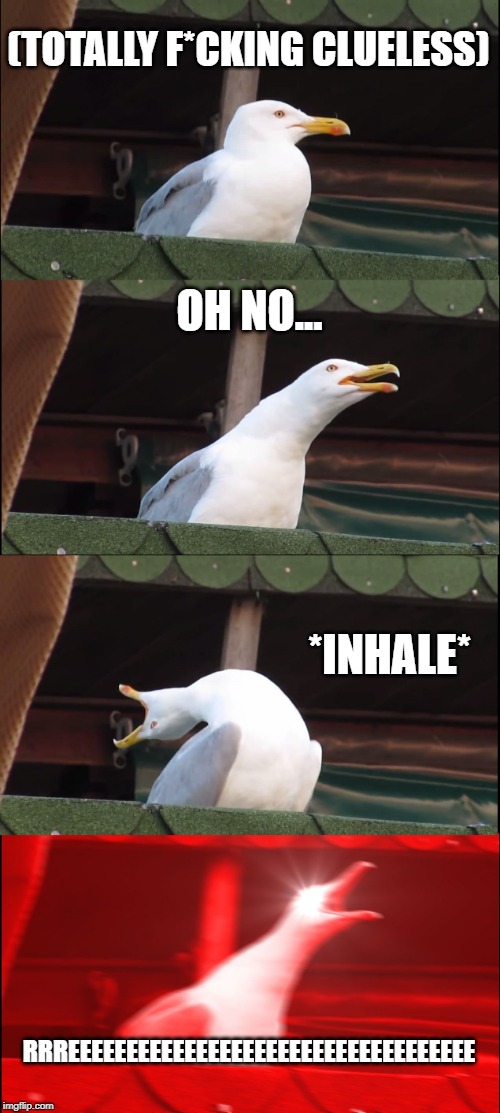 Inhaling Seagull | (TOTALLY F*CKING CLUELESS); OH NO... *INHALE*; RRREEEEEEEEEEEEEEEEEEEEEEEEEEEEEEEEEEE | image tagged in memes,inhaling seagull | made w/ Imgflip meme maker