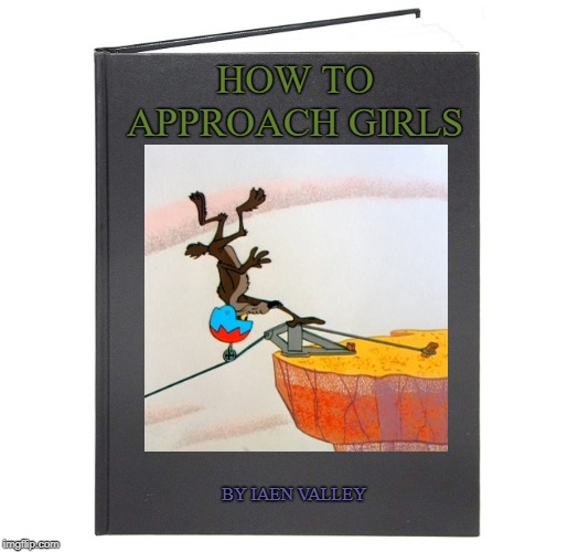 HOW TO APPROACH GIRLS; BY IAEN VALLEY | made w/ Imgflip meme maker