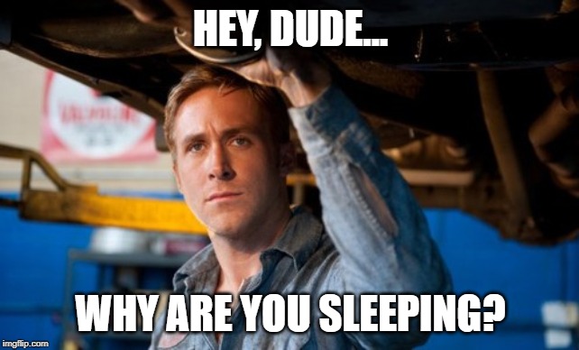 Hey Dude | HEY, DUDE... WHY ARE YOU SLEEPING? | image tagged in hey dude | made w/ Imgflip meme maker