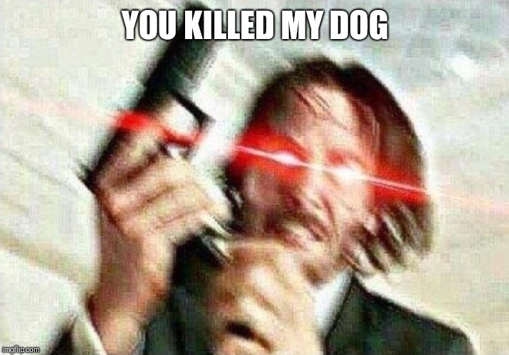 John Wick | YOU KILLED MY DOG | image tagged in john wick | made w/ Imgflip meme maker