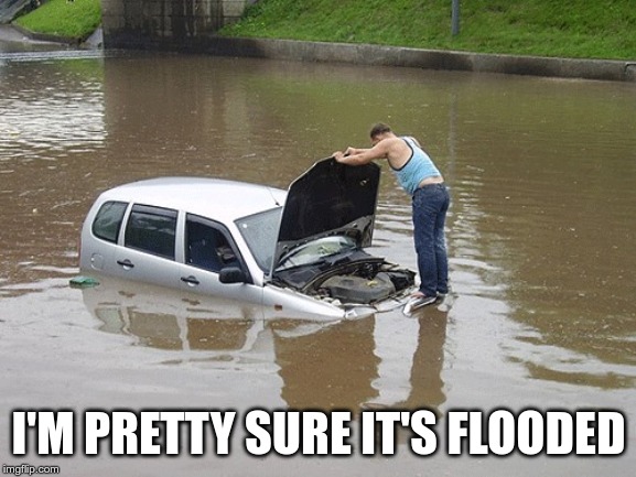 flooded car | I'M PRETTY SURE IT'S FLOODED | image tagged in flooded car | made w/ Imgflip meme maker