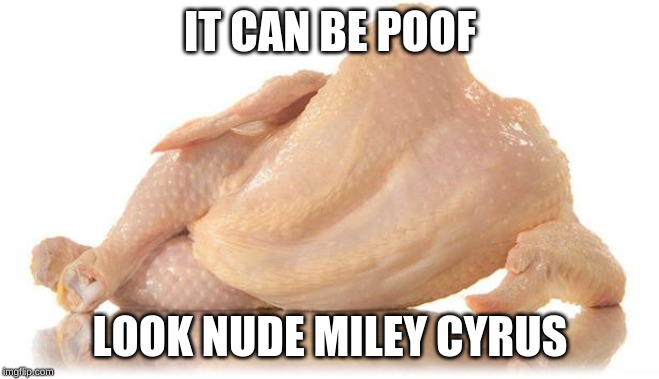 sexy chicken | IT CAN BE POOF LOOK NUDE MILEY CYRUS | image tagged in sexy chicken | made w/ Imgflip meme maker