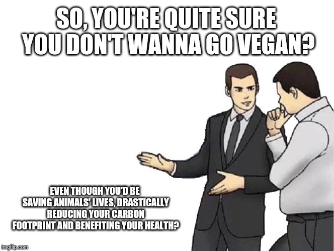 Car Salesman Slaps Hood | SO, YOU'RE QUITE SURE YOU DON'T WANNA GO VEGAN? EVEN THOUGH YOU'D BE SAVING ANIMALS' LIVES, DRASTICALLY REDUCING YOUR CARBON FOOTPRINT AND BENEFITING YOUR HEALTH? | image tagged in memes,car salesman slaps hood | made w/ Imgflip meme maker