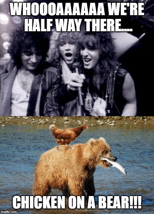 Bon Jovi | WHOOOAAAAAA WE'RE HALF WAY THERE.... CHICKEN ON A BEAR!!! | image tagged in bon jovi | made w/ Imgflip meme maker