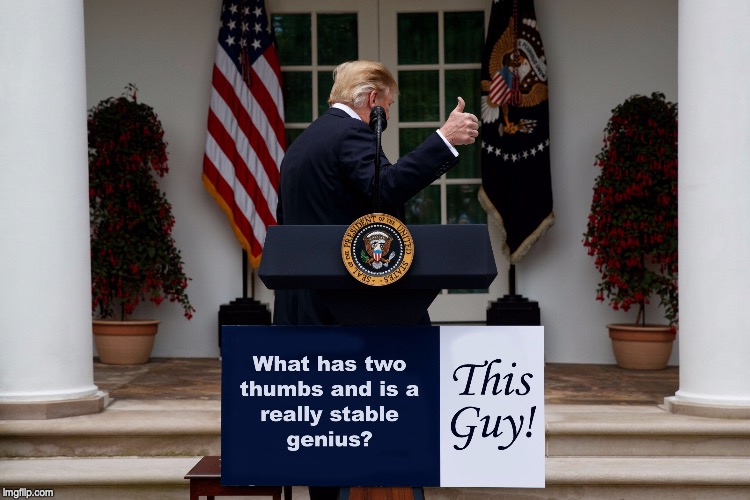 Real Stable Genius | image tagged in trump,genius,thumb,thumbs up,donald trump thumbs up,stable genius | made w/ Imgflip meme maker