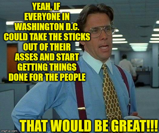 That Would Be Great |  YEAH, IF EVERYONE IN WASHINGTON D.C. COULD TAKE THE STICKS OUT OF THEIR ASSES AND START GETTING THINGS DONE FOR THE PEOPLE; THAT WOULD BE GREAT!!! | image tagged in memes,that would be great,washington dc,people,order,government | made w/ Imgflip meme maker