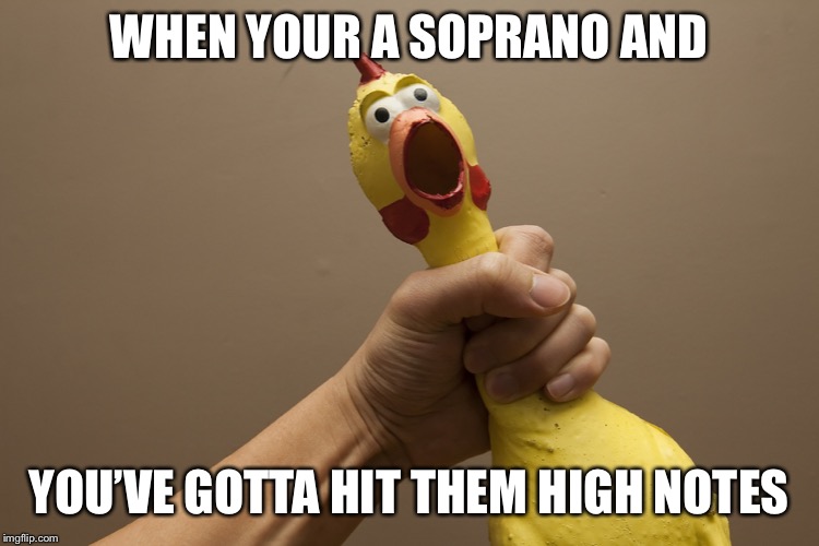 Rubber chicken | WHEN YOUR A SOPRANO AND; YOU’VE GOTTA HIT THEM HIGH NOTES | image tagged in rubber chicken | made w/ Imgflip meme maker