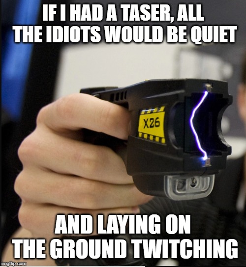 taser | IF I HAD A TASER, ALL THE IDIOTS WOULD BE QUIET; AND LAYING ON THE GROUND TWITCHING | image tagged in taser | made w/ Imgflip meme maker