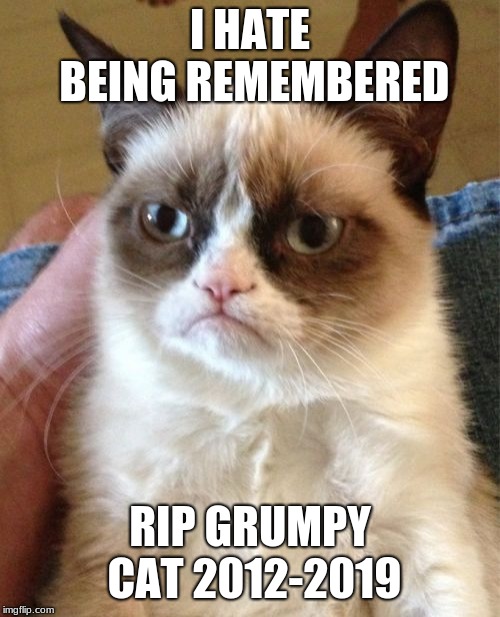 Grumpy Cat | I HATE BEING REMEMBERED; RIP GRUMPY CAT 2012-2019 | image tagged in memes,grumpy cat | made w/ Imgflip meme maker
