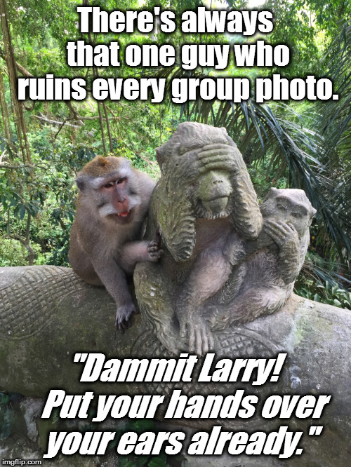 monkey poser | There's always that one guy who ruins every group photo. "Dammit Larry!   Put your hands over your ears already." | image tagged in monkey poser | made w/ Imgflip meme maker