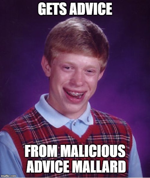 Bad Luck Brian | GETS ADVICE; FROM MALICIOUS ADVICE MALLARD | image tagged in memes,bad luck brian | made w/ Imgflip meme maker