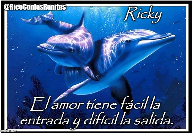 Delfin | Ricky; El amor tiene fácil la entrada y difícil la salida. | image tagged in delfin | made w/ Imgflip meme maker