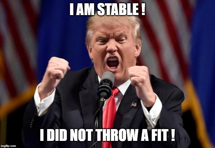 I AM STABLE ! I DID NOT THROW A FIT ! | image tagged in stable genius | made w/ Imgflip meme maker