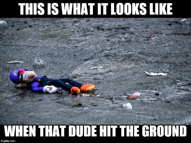 Waluigis fogoten  | THIS IS WHAT IT LOOKS LIKE WHEN THAT DUDE HIT THE GROUND | image tagged in waluigis fogoten | made w/ Imgflip meme maker