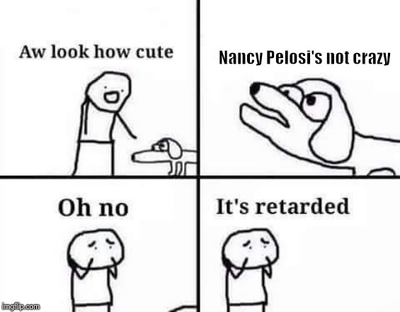 Oh yeah , Trump's the problem | Nancy Pelosi's not crazy | image tagged in oh no it's retarded template,crazy lady,california,snowflake,terminator - talk to the hand | made w/ Imgflip meme maker