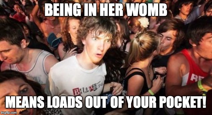 Sudden Clarity Clarence Meme | BEING IN HER WOMB MEANS LOADS OUT OF YOUR POCKET! | image tagged in memes,sudden clarity clarence | made w/ Imgflip meme maker