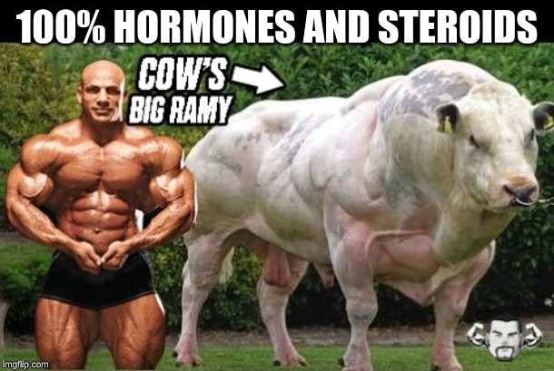 100% artificial | 100% HORMONES AND STEROIDS | image tagged in cow,muscle,steroids | made w/ Imgflip meme maker