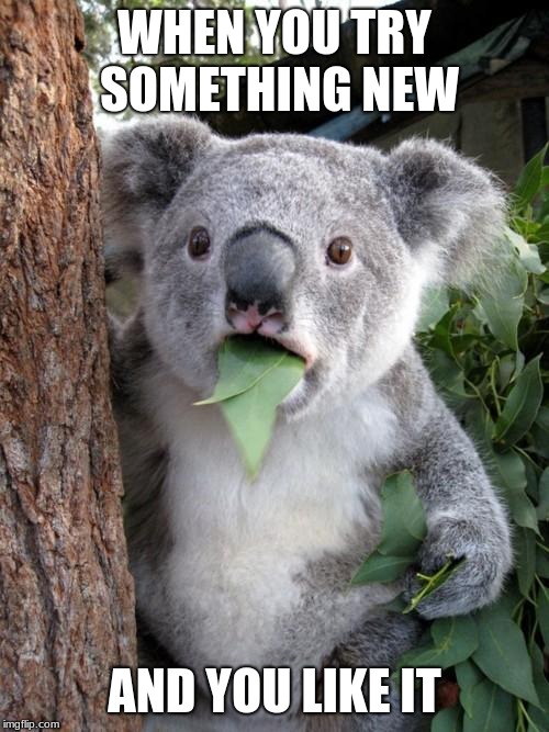 Surprised Koala Meme | WHEN YOU TRY SOMETHING NEW; AND YOU LIKE IT | image tagged in memes,surprised koala | made w/ Imgflip meme maker
