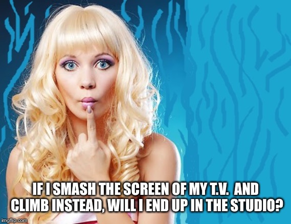 ditzy blonde | IF I SMASH THE SCREEN OF MY T.V.  AND CLIMB INSTEAD, WILL I END UP IN THE STUDIO? | image tagged in ditzy blonde | made w/ Imgflip meme maker