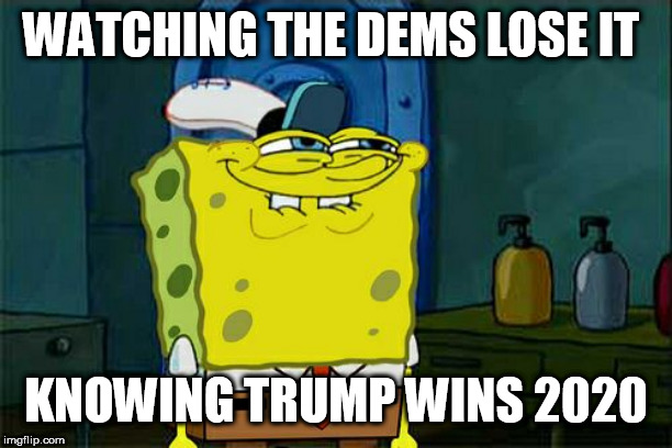 Don't You Squidward | WATCHING THE DEMS LOSE IT; KNOWING TRUMP WINS 2020 | image tagged in memes,dont you squidward | made w/ Imgflip meme maker