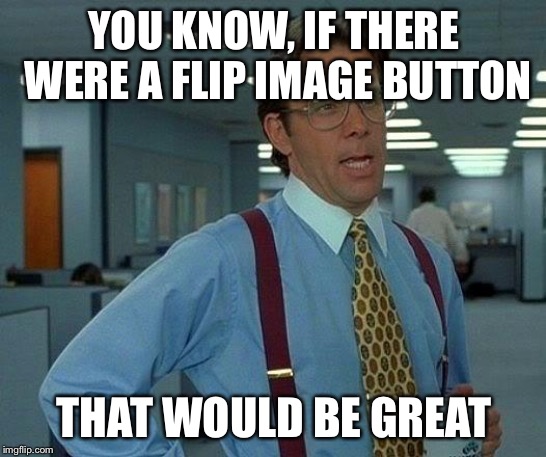 Could it be true? | YOU KNOW, IF THERE WERE A FLIP IMAGE BUTTON; THAT WOULD BE GREAT | image tagged in memes,that would be great,ideas | made w/ Imgflip meme maker