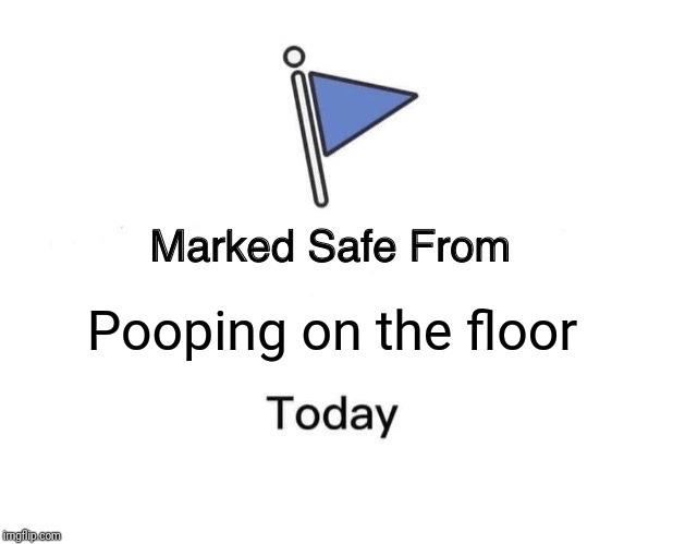 Marked Safe From | Pooping on the floor | image tagged in memes,marked safe from | made w/ Imgflip meme maker