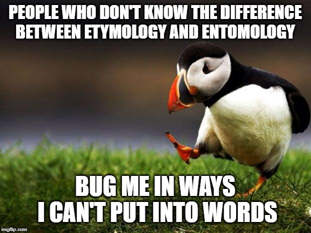 Unpopular Opinion Puffin Meme | PEOPLE WHO DON'T KNOW THE DIFFERENCE BETWEEN ETYMOLOGY AND ENTOMOLOGY; BUG ME IN WAYS I CAN'T PUT INTO WORDS | image tagged in memes,unpopular opinion puffin | made w/ Imgflip meme maker