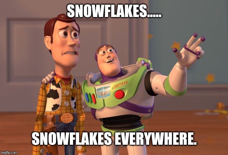 X, X Everywhere Meme | SNOWFLAKES..... SNOWFLAKES EVERYWHERE. | image tagged in memes,x x everywhere | made w/ Imgflip meme maker