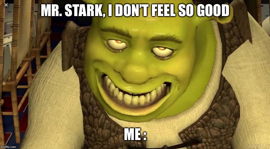 Shrek | MR. STARK, I DON’T FEEL SO GOOD; ME : | image tagged in shrek | made w/ Imgflip meme maker
