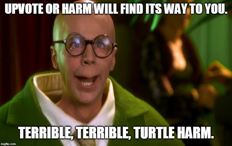 Turtle Harm | UPVOTE OR HARM WILL FIND ITS WAY TO YOU. TERRIBLE, TERRIBLE, TURTLE HARM. | image tagged in turtle | made w/ Imgflip meme maker